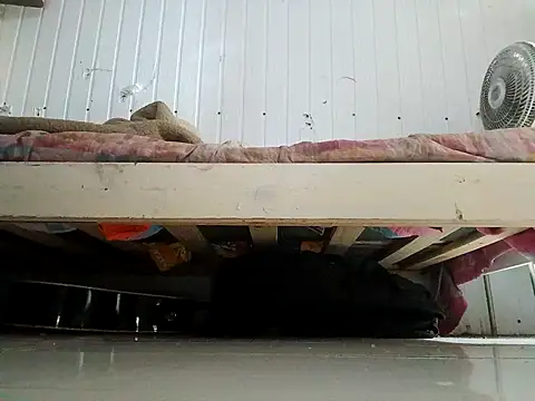 frotasso online show from 13, 2, 2026