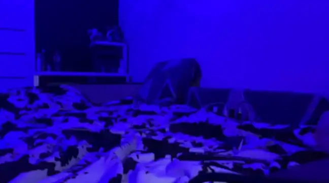 Princess Dianka online show from 10, 1, 2025