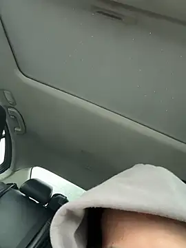 BostonDick online show from 11, 12, 2024