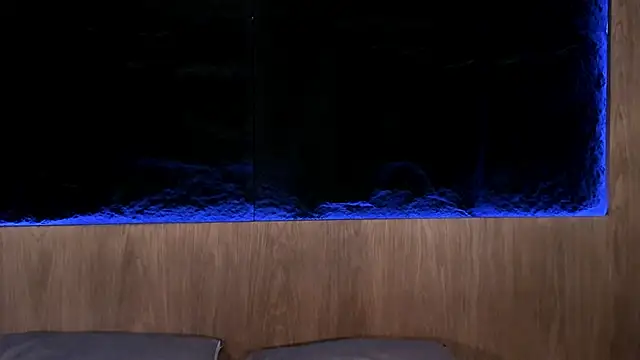 ArtemisaBlake online show from 7, 2, 2025