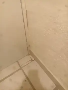 FlacoRiaton online show from 10, 2, 2026