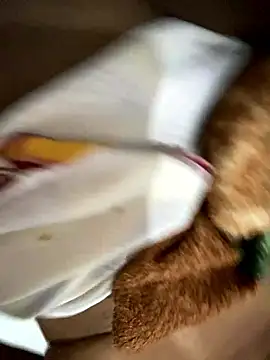 Gordelicia03 online show from 10, 1, 2026