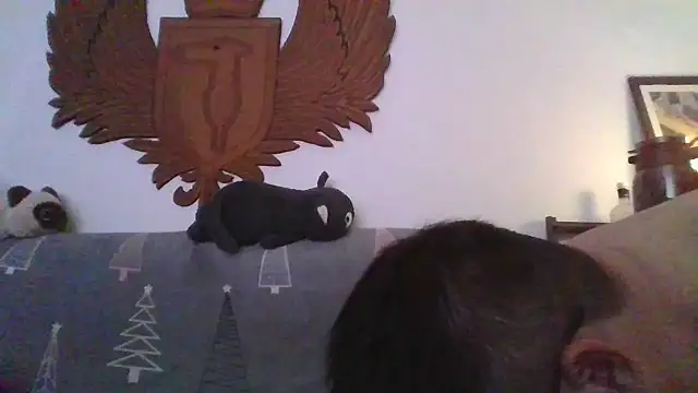 866532 online show from 19, 12, 2025