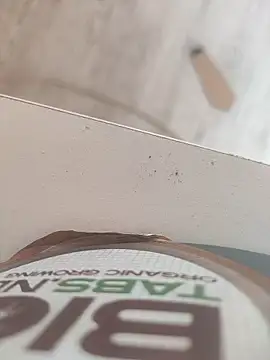 lunaxxxtreme online show from 11, 11, 2025