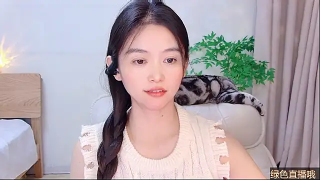 CN-Babycat online show from 7, 2, 2026