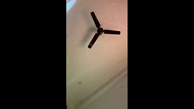 Snapshot of Lush_puja chatting on 4, 11, 2025 Lush puja online show from 4, 11, 2025