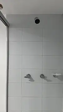 snakeeboy online show from 2, 3, 2026