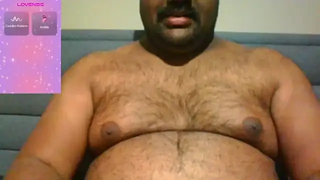 indianbearbot online show from 6, 11, 2025