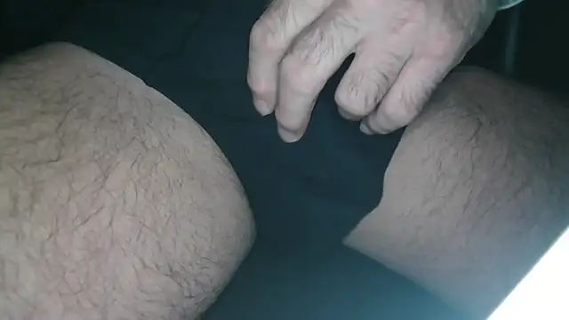 cs1512 online show from 6, 11, 2025