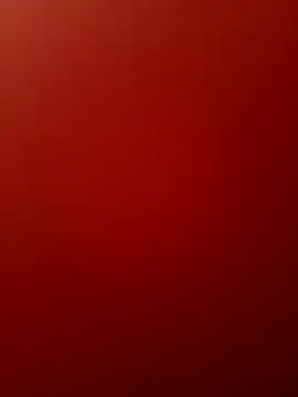 Miamix2 online show from 11, 2, 2026