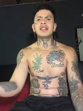 edttatuado19 online show from 6, 2, 2025