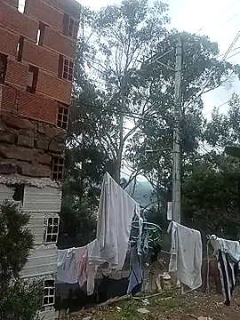 chayanne odisea online show from 12, 3, 2026