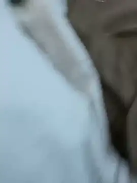 daddydiggg online show from 20, 3, 2025