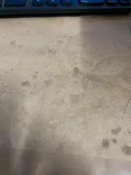 Hillz king 98 online show from 3, 1, 2025