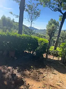 Hillz king 98 online show from 4, 2, 2025