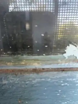 Hillz king 98 online show from 11, 2, 2025