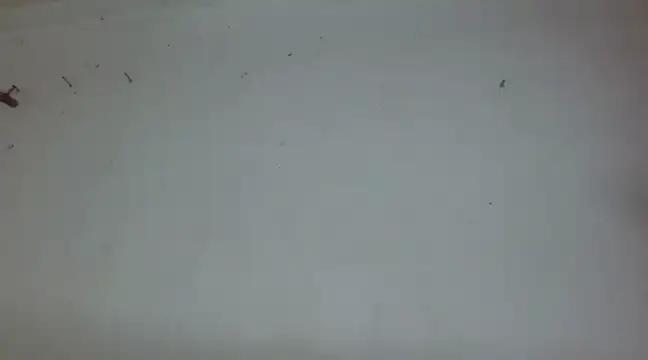  amira dalila online show from 27, 12, 2024