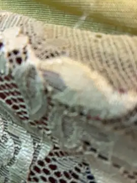 honeyboobies7249 online show from 22, 2, 2026