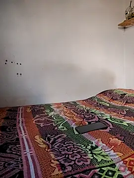 gatoalex89 online show from 8, 11, 2025