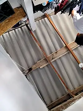 gatoalex89 online show from 27, 2, 2026