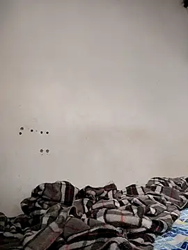 gatoalex89 online show from 11, 10, 2025