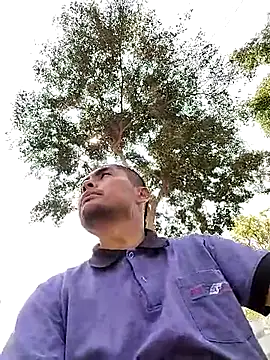 Crashsolitario online show from 13, 4, 2026