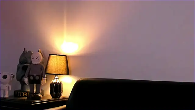 Snapshot of BradLeon_ chatting on 23, 11, 2025 BradLeon online show from 23, 11, 2025