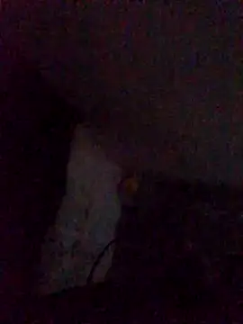 WeldingSenior online show from 21, 4, 2026