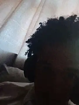 Snapshot of TheRiseOfDick chatting on 3, 5, 2026 TheRiseOfDick online show from 3, 5, 2026