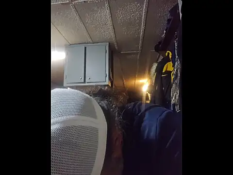 zaneporter46 online show from 7, 3, 2026