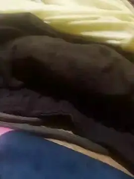 jarmesr7x online show from 27, 1, 2025