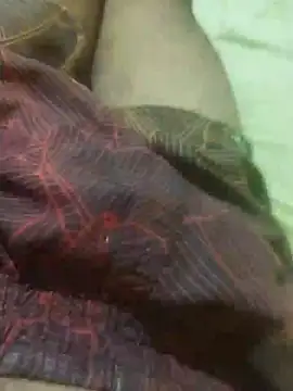 jarmesr7x online show from 11, 2, 2025