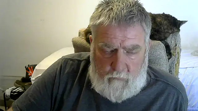 viejo oso online show from 20, 3, 2026