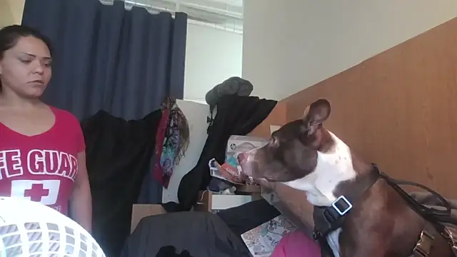 Snapshot of Dnasty408 chatting on 7, 11, 2025 Dnasty408 online show from 7, 11, 2025