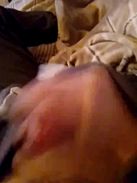 MaxiFabry online show from 20, 10, 2025