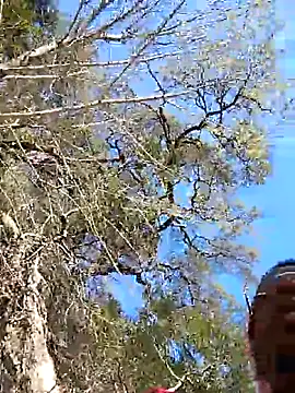 VelvetChocolate7 online show from 24, 2, 2026