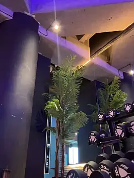 Karol Towers online show from 4, 3, 2025