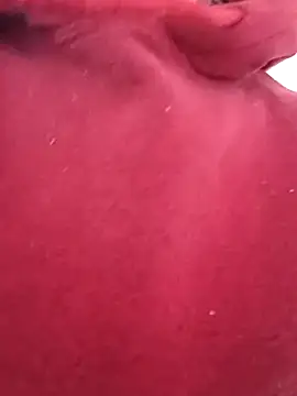 MrBelac online show from 2, 11, 2025