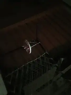 carria homes online show from 10, 10, 2025