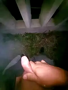 tesaodaweb online show from 22, 4, 2026