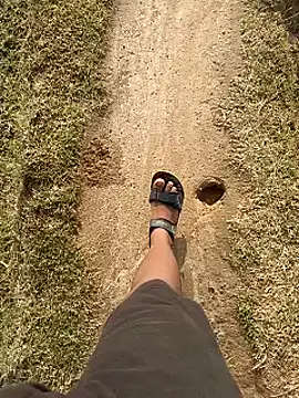 virgin Odiaboy online show from 21, 2, 2025