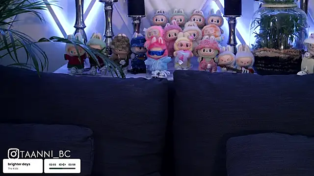 taanni bc online show from 9, 10, 2025