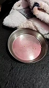 Whitehouse01 online show from 13, 1, 2025