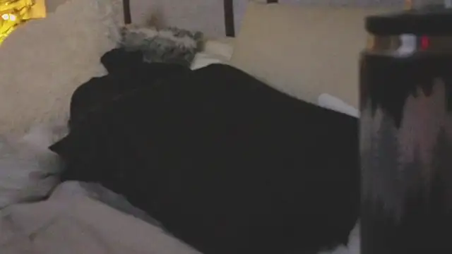 ivynyxx online show from 16, 3, 2026