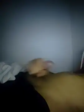 fredfgr online show from 9, 2, 2026