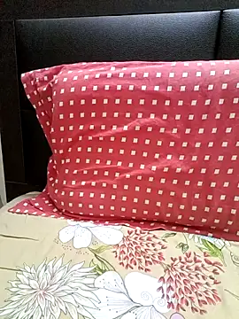 Tamil Vishalini online show from 3, 12, 2025