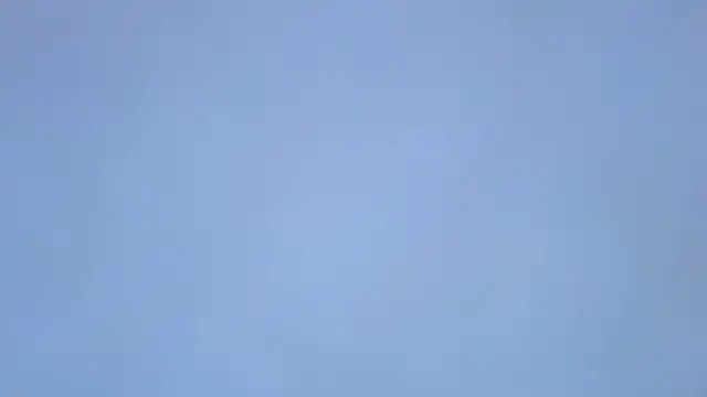 roxyyyrose online show from 2, 3, 2026