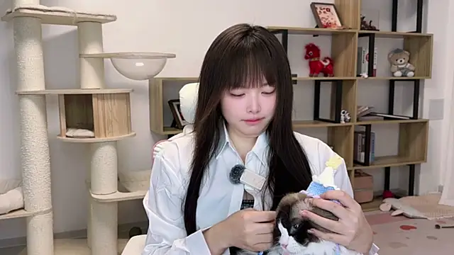 Snapshot of Chenjing0 chatting on 16, 5, 2026 Chenjing0 online show from 16, 5, 2026