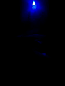 Snapshot of dreamers_dick chatting on 1, 1, 2025 dreamers dick online show from 1, 1, 2025