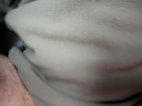 Archie8338 online show from 14, 1, 2026